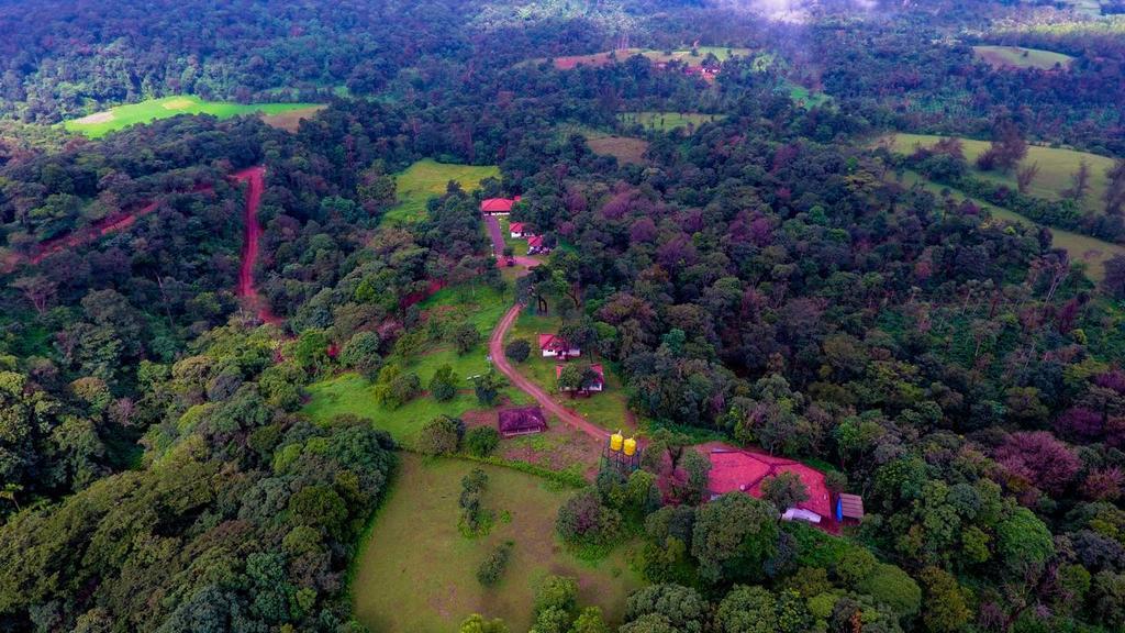 Aadhavana Homestay - Sakleshpur Māranhalli Exteriör bild