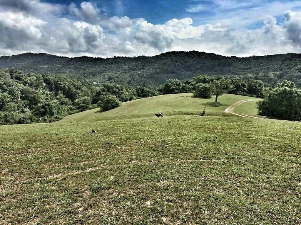 Aadhavana Homestay - Sakleshpur Māranhalli Exteriör bild