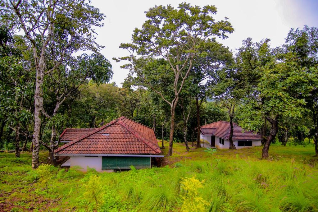 Aadhavana Homestay - Sakleshpur Māranhalli Exteriör bild