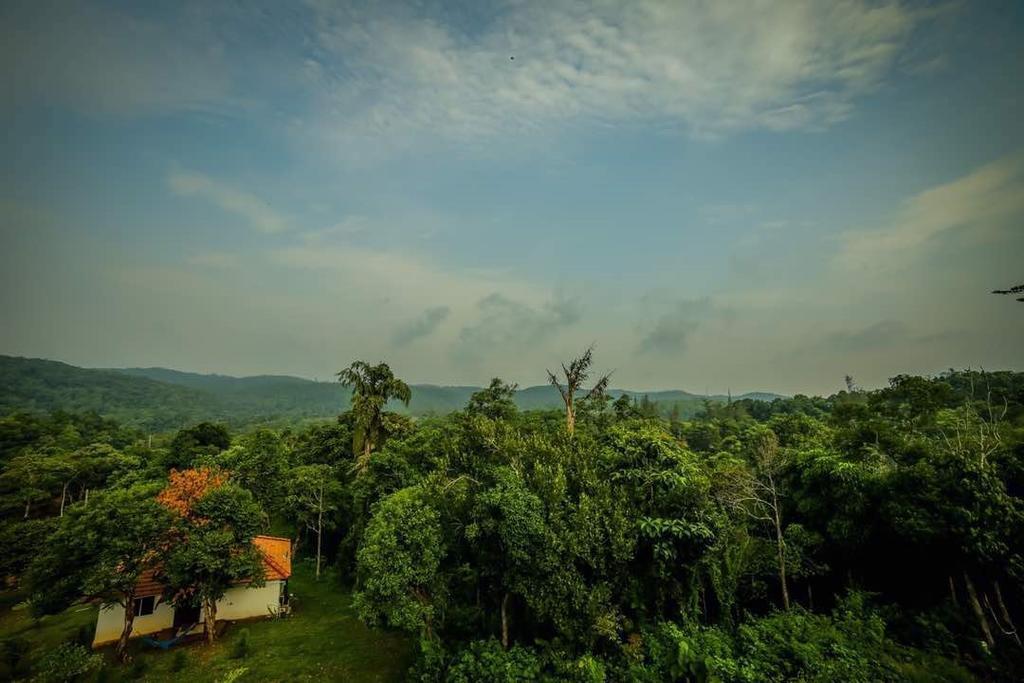 Aadhavana Homestay - Sakleshpur Māranhalli Exteriör bild