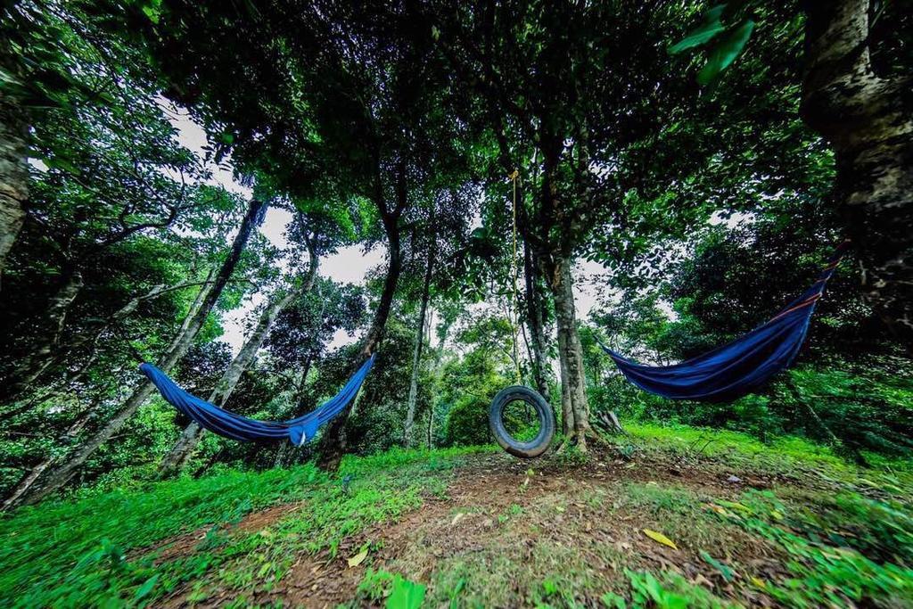 Aadhavana Homestay - Sakleshpur Māranhalli Exteriör bild