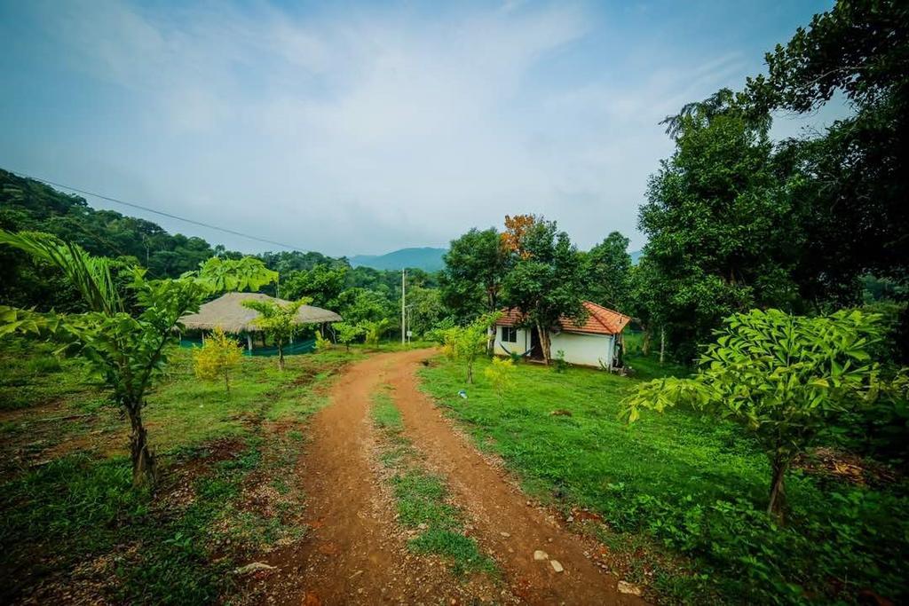 Aadhavana Homestay - Sakleshpur Māranhalli Exteriör bild